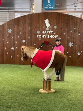 ノーザンホースパークに投稿された画像（2024/12/8）