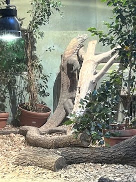 名古屋市東山動植物園に投稿された画像（2024/12/8）