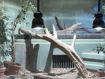 名古屋市東山動植物園に投稿された画像（2024/12/8）