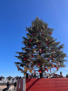 Christmas Market in 横浜赤レンガ倉庫 2025に投稿された画像（2024/12/8）