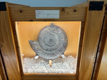 福井県立恐竜博物館に投稿された画像（2024/12/8）