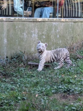 伊豆アニマルキングダムに投稿された画像（2024/12/8）