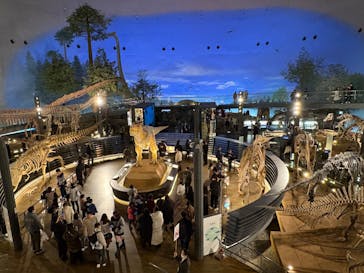 福井県立恐竜博物館に投稿された画像（2024/12/8）