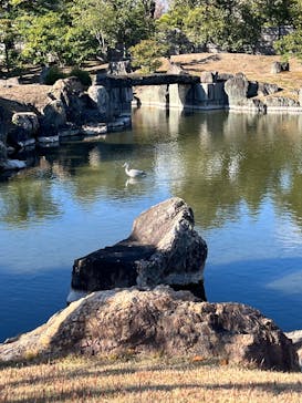 京都市観光協会（催行運営：株式会社らくたび）に投稿された画像（2024/12/8）