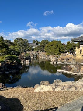 京都市観光協会（催行運営：株式会社らくたび）に投稿された画像（2024/12/8）