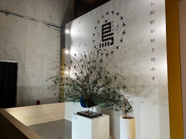 特別展「鳥 ～ゲノム解析が解き明かす新しい鳥類の系統～」国立科学博物館に投稿された画像（2024/12/8）