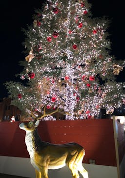 Christmas Market in 横浜赤レンガ倉庫 2025に投稿された画像（2024/11/24）