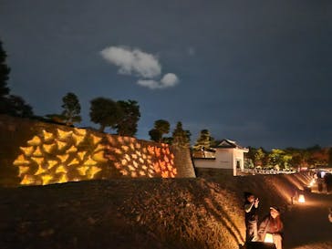 NAKED meets 二条城 2025 観月に投稿された画像（2024/12/8）