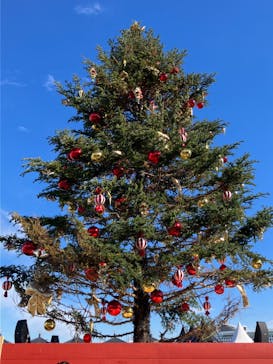 Christmas Market in 横浜赤レンガ倉庫 2025に投稿された画像（2024/12/8）