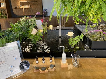 いばらきフラワーパークに投稿された画像（2024/12/8）