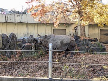 名古屋市東山動植物園に投稿された画像（2024/12/8）
