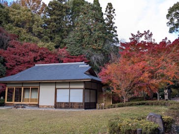 名古屋市東山動植物園に投稿された画像（2024/12/8）
