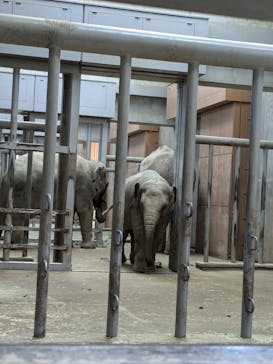 名古屋市東山動植物園に投稿された画像（2024/12/8）