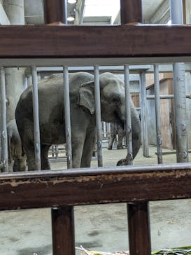 名古屋市東山動植物園に投稿された画像（2024/12/8）