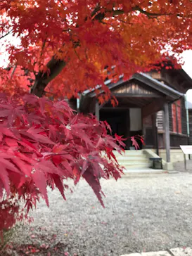 博物館 明治村に投稿された画像（2024/12/8）