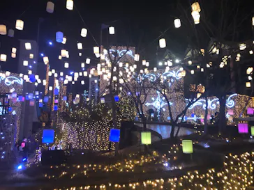 ひらかたパークに投稿された画像（2024/12/8）