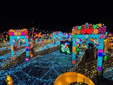 伊豆高原グランイルミに投稿された画像（2024/12/8）