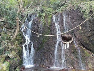 箱根湯本温泉 天成園に投稿された画像（2024/12/8）