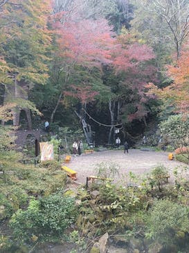 箱根湯本温泉 天成園に投稿された画像（2024/12/8）