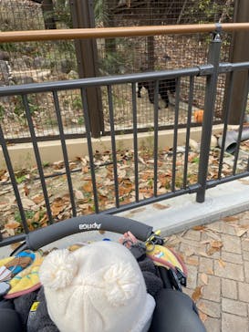 名古屋市東山動植物園に投稿された画像（2024/12/8）