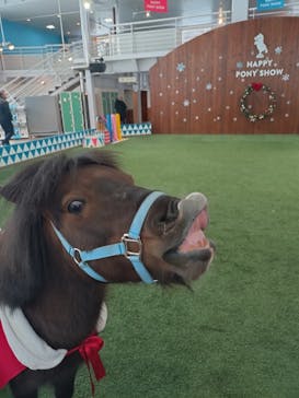 ノーザンホースパークに投稿された画像（2024/12/8）