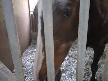 ノーザンホースパークに投稿された画像（2024/12/8）