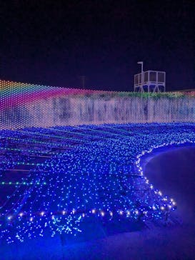 東京メガイルミに投稿された画像（2024/12/8）