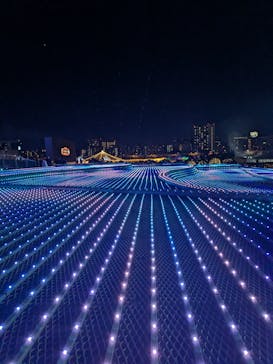 東京メガイルミに投稿された画像（2024/12/8）