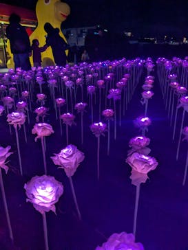 東京メガイルミに投稿された画像（2024/12/8）