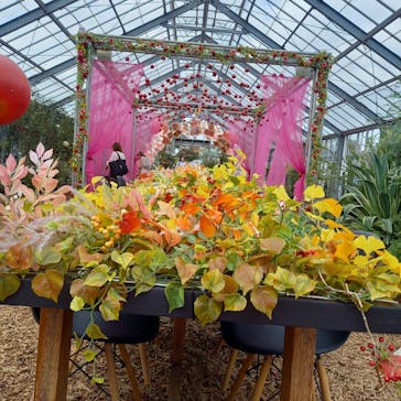 京成バラ園に投稿された画像（2024/12/8）