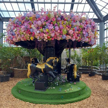 京成バラ園に投稿された画像（2024/12/8）