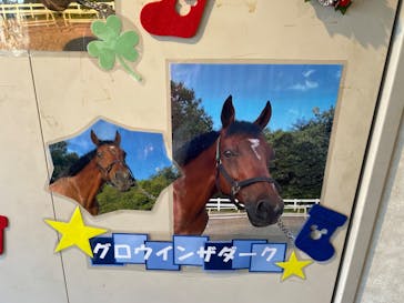 乗馬クラブ クレイン東京に投稿された画像（2024/12/8）