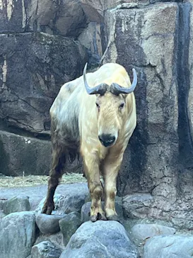 多摩動物公園に投稿された画像（2024/12/8）