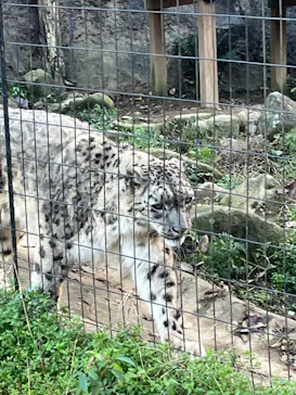多摩動物公園に投稿された画像（2024/12/8）
