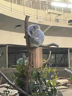 多摩動物公園に投稿された画像（2024/12/8）