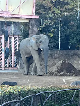 多摩動物公園に投稿された画像（2024/12/8）