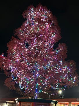 東武動物公園に投稿された画像（2024/12/8）