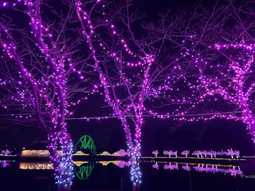 東武動物公園に投稿された画像（2024/12/8）