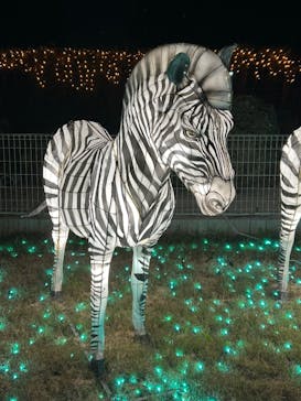 東武動物公園に投稿された画像（2024/12/8）