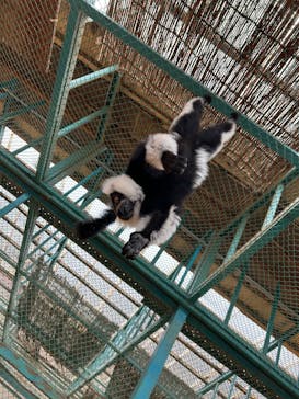 東北サファリパークに投稿された画像（2024/12/8）