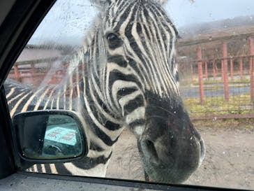 東北サファリパークに投稿された画像（2024/12/8）