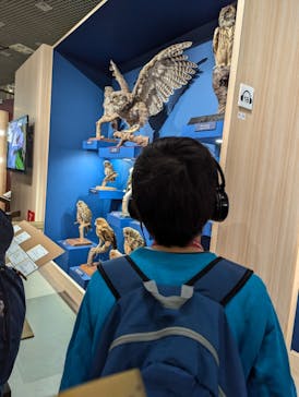 特別展「鳥 ～ゲノム解析が解き明かす新しい鳥類の系統～」国立科学博物館に投稿された画像（2024/12/8）