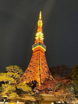 東京タワーに投稿された画像（2024/12/8）