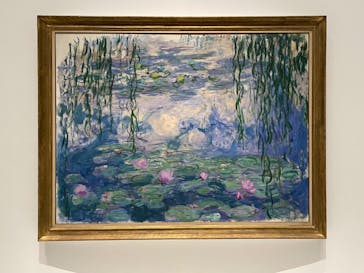 モネ 睡蓮のとき（国立西洋美術館）に投稿された画像（2024/12/8）