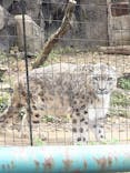 多摩動物公園に投稿された画像（2024/12/8）