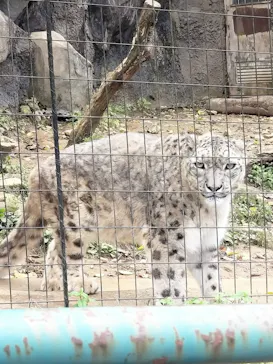 多摩動物公園に投稿された画像（2024/12/8）