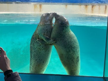 下田海中水族館に投稿された画像（2024/12/8）
