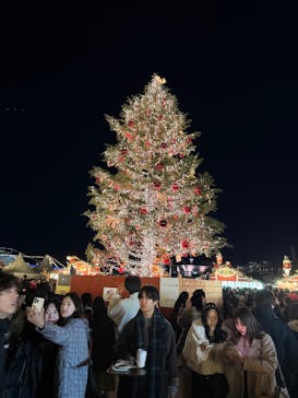 Christmas Market in 横浜赤レンガ倉庫 2025に投稿された画像（2024/12/8）