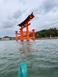 SUP 宮島に投稿された画像（2024/12/8）