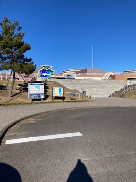 アクアワールド茨城県大洗水族館に投稿された画像（2024/12/8）